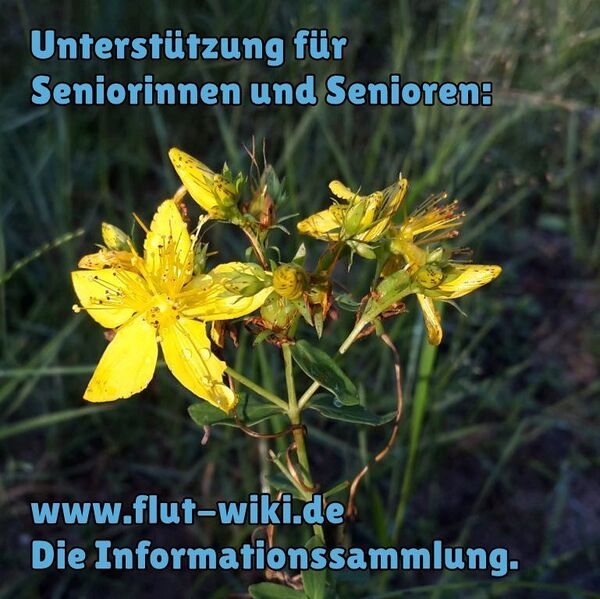 Datei:Senioren.jpg